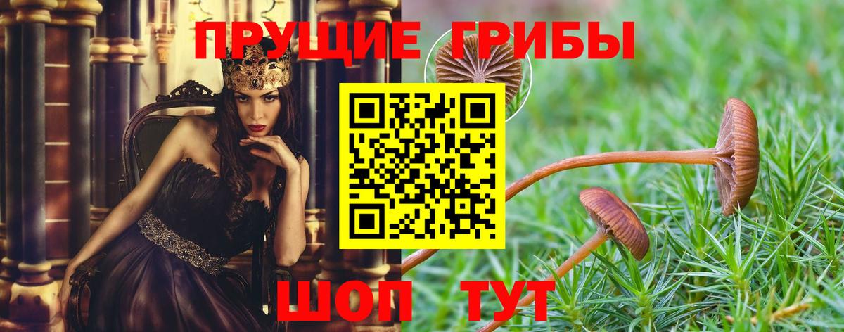 Псилоцибиновые грибы Magic Shrooms Обнинск